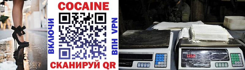 купить наркотик  Дмитриев  мега как войти  КОКАИН 99% 