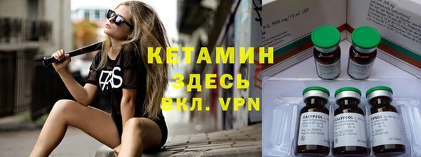 молекула духа Богданович