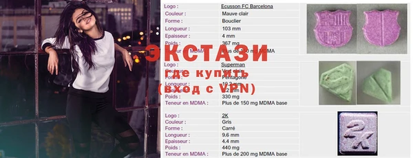 молекула духа Богданович