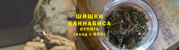mdpv Богородицк