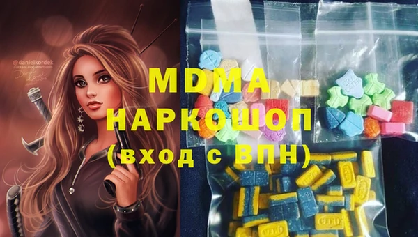 молекула духа Богданович