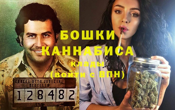 молекула духа Богданович