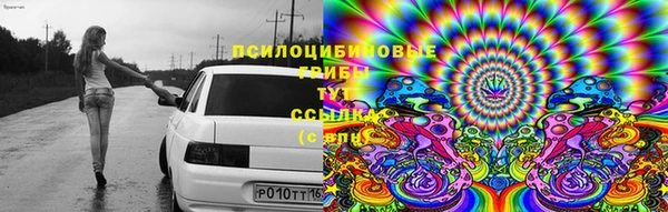 mdpv Богородицк