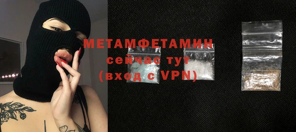 молекула духа Богданович