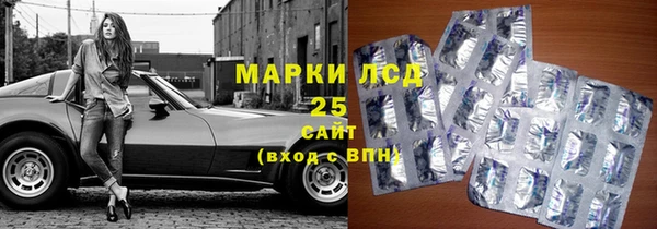 молекула духа Богданович