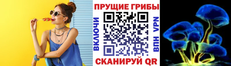 Галлюциногенные грибы GOLDEN TEACHER  даркнет сайт  Дмитриев 