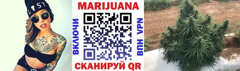 купить  сайты  Дмитриев  МАРИХУАНА индика 